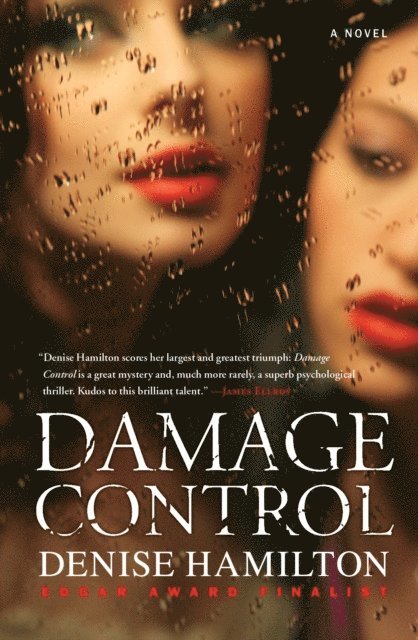 Denise Hamilton - Damage Control, E-bok