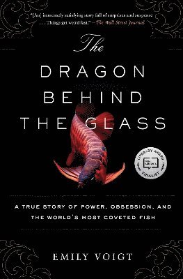 Emily Voigt - Dragon Behind the Glass, Häftad. Tillgänglighet: Lägg i varukorg