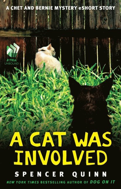 Spencer Quinn - Cat Was Involved, E-bok