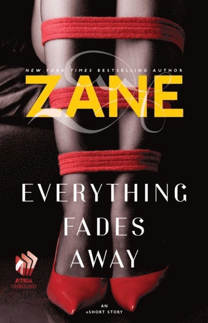 Zane - Everything Fades Away, E-bok
