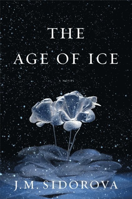 J. M. Sidorova - Age of Ice, E-bok
