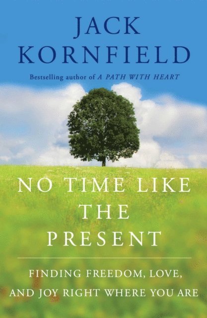 Jack Kornfield - No Time Like the Present, E-bok