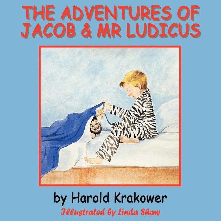 Harold Krakower - Adventures of Jacob & Mr Ludicus, Häftad