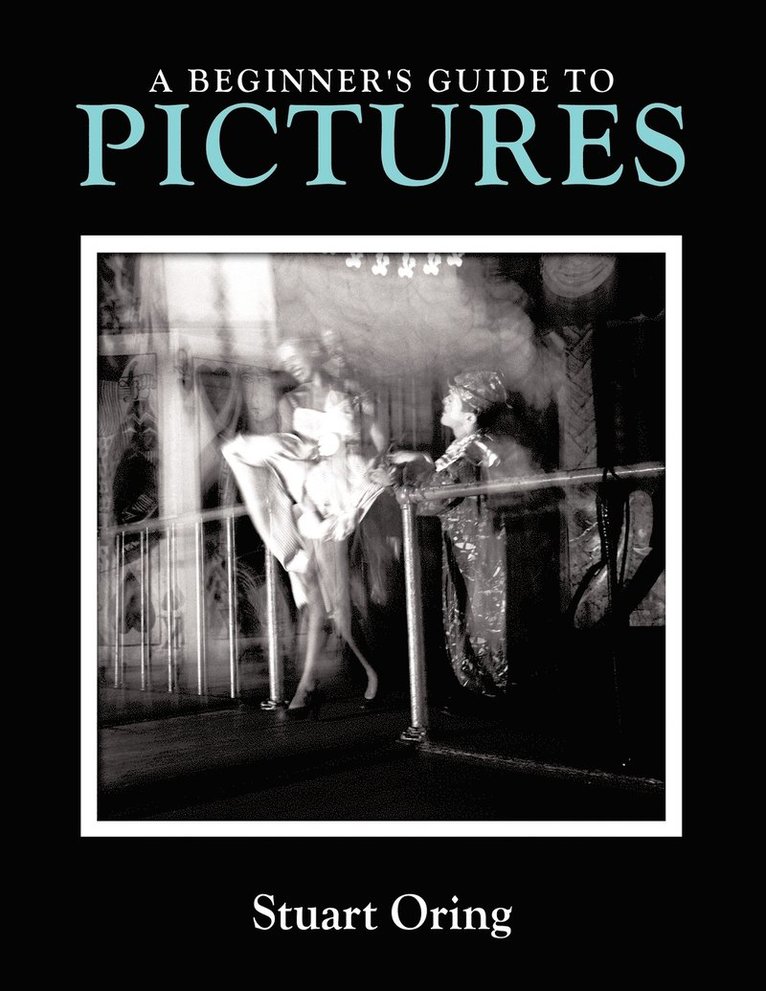 Stuart Oring - Beginner's Guide to Pictures, Häftad