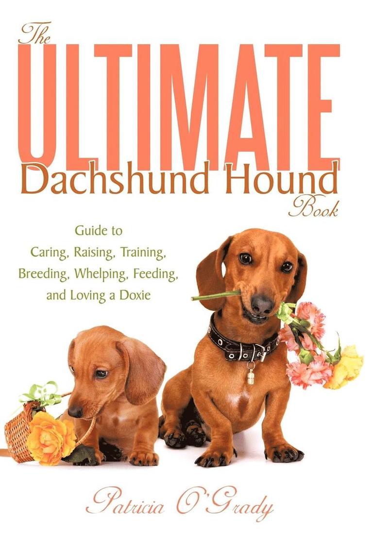 Patricia O'Grady - Ultimate Dachshund Hound Book, Inbunden. Tillgänglighet: Lägg i varukorg