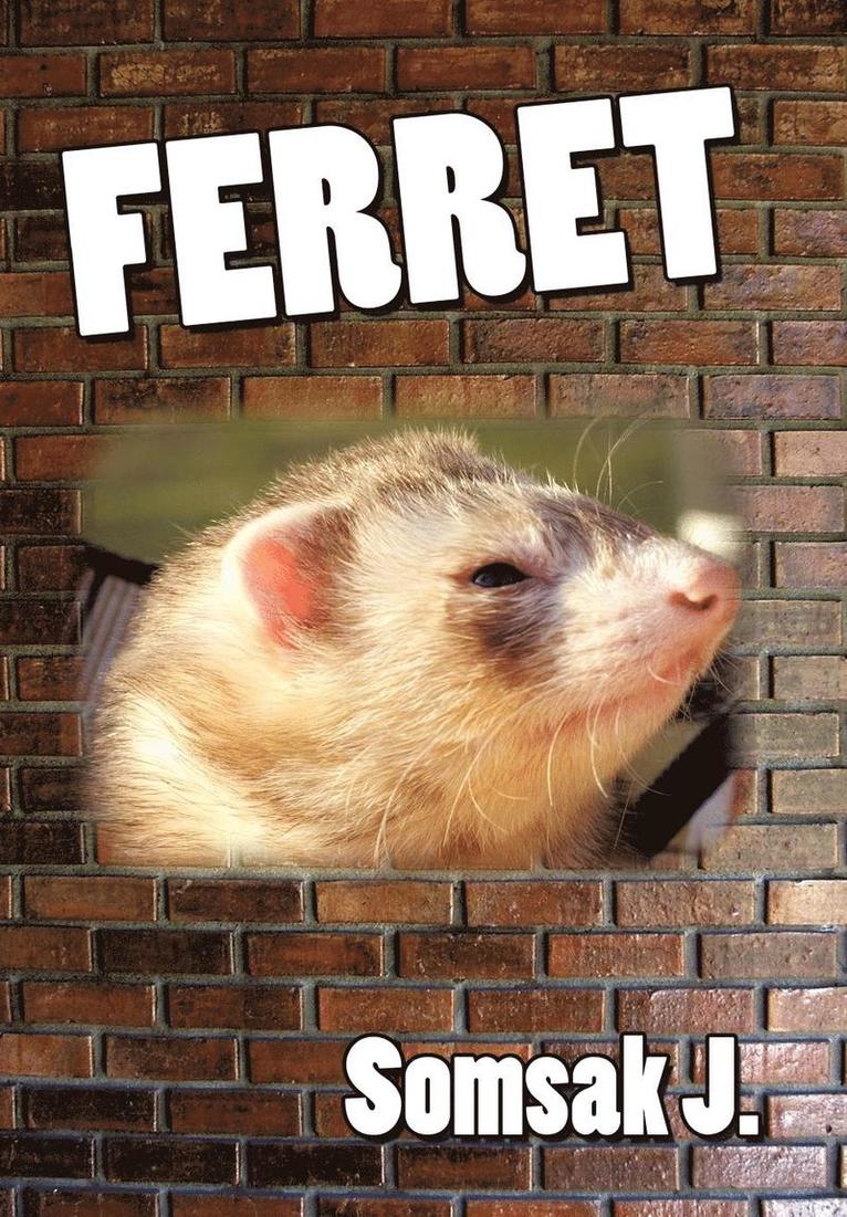Somsak J. - Ferret, Inbunden. Tillgänglighet: Lägg i varukorg