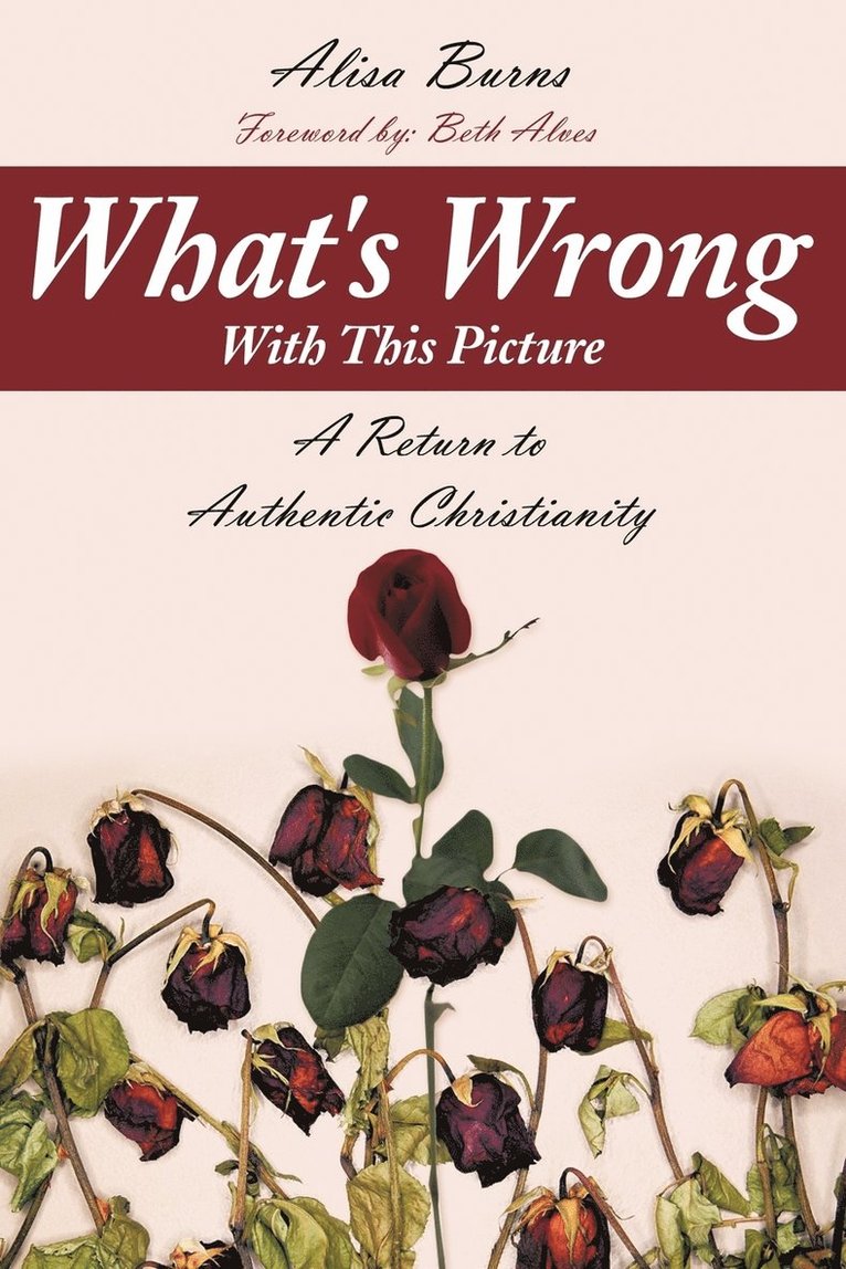 Alisa Burns - What's Wrong With This Picture, Häftad