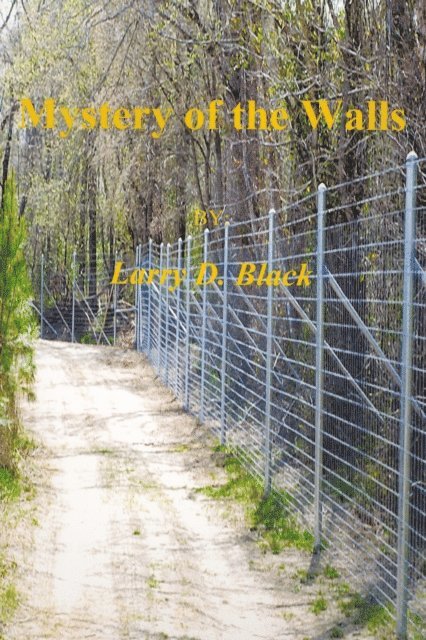 Larry D. Black - Mystery of the Walls, E-bok
