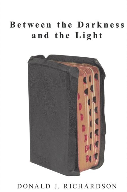 Donald J. Richardson - Between the Darkness and the Light, E-bok