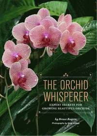 Orchid Whisperer