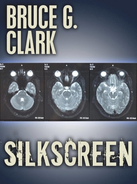 Bruce Clark - Silkscreen, E-bok