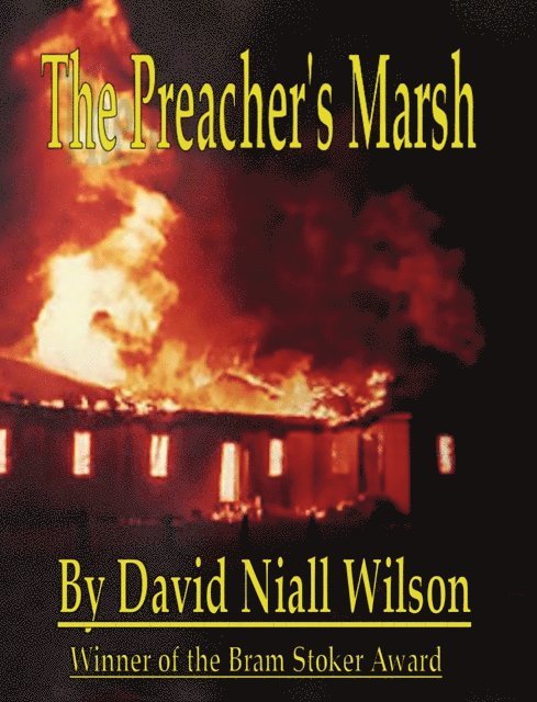David Niall Wilson - Preacher's Marsh, E-bok