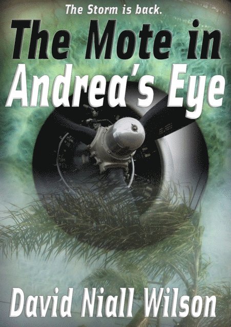 David Niall Wilson - Mote in Andrea's Eye, E-bok
