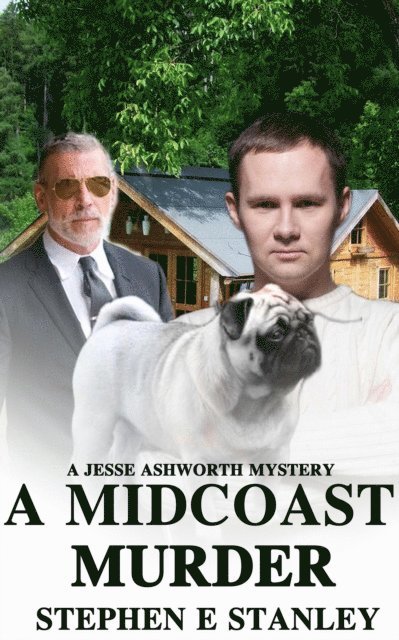 Stephen Stanley - Midcoast Murder, E-bok