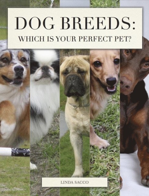 Linda Sacco - Dog Breeds: Which is Your Perfect Pet?, E-bok. Tillgänglighet: Lägg i varukorg