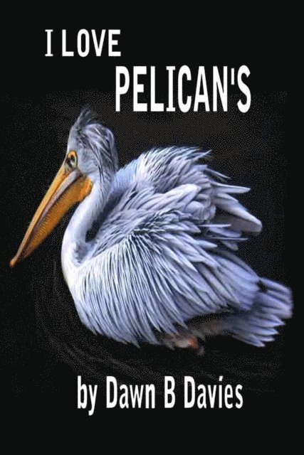 Dawn B Davies - I Love Pelicans, E-bok. Tillgänglighet: Lägg i varukorg