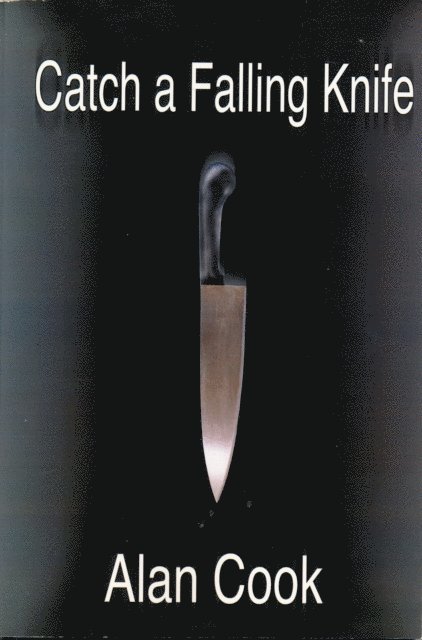 Alan Cook - Catch a Falling Knife, E-bok