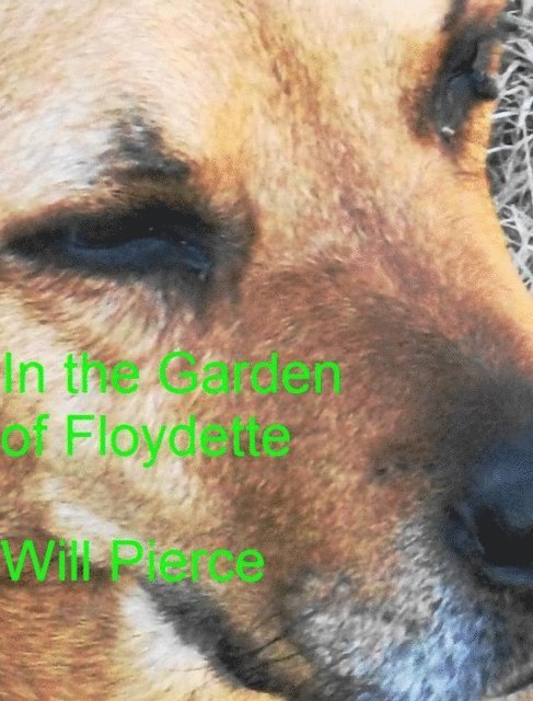 William Pierce - In the Garden of Floydette, E-bok