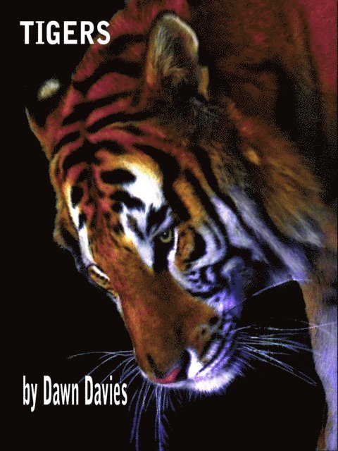 Dawn B Davies - Tigers, E-bok. Tillgänglighet: Lägg i varukorg