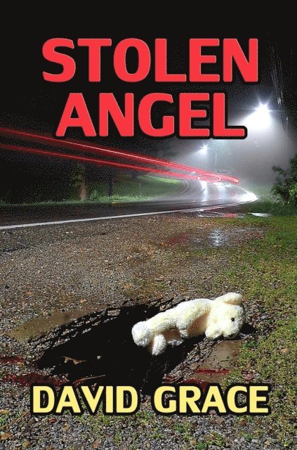 David Grace - Stolen Angel, E-bok