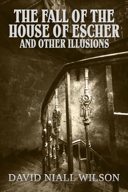 David Niall Wilson - Fall of the House of Escher and Other Illusions, E-bok