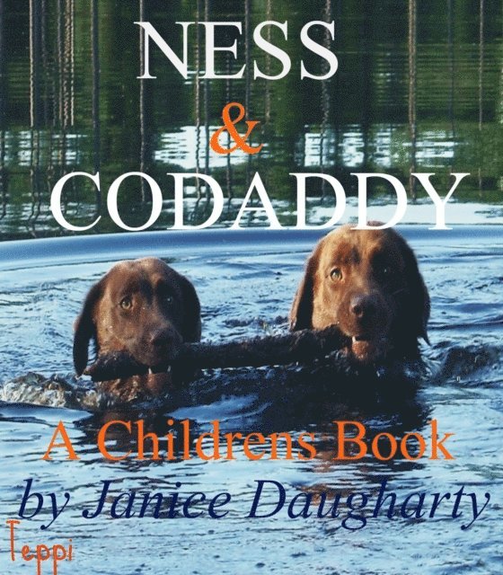 Janice Daugharty - Ness and Codaddy: children's rhyming book, E-bok