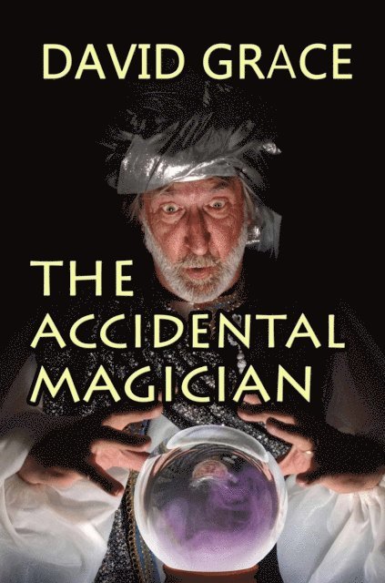 David Grace - Accidental Magician, E-bok