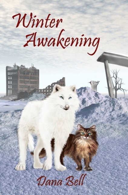 Dana Bell - Winter Awakening, E-bok