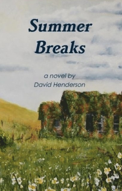 David Henderson - Summer Breaks: a novel, E-bok