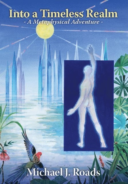 Michael J Roads - Into a Timeless Realm: A Metaphysical Adventure, E-bok