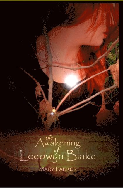Mary Parker - Awakening of Leeowyn Blake, E-bok