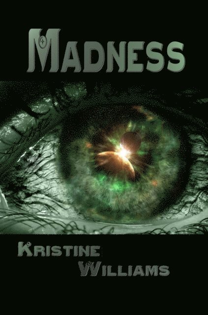 Kristine Williams - Madness, E-bok