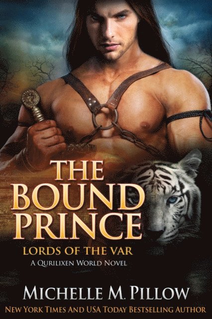 Michelle M. Pillow - Bound Prince: A Qurilixen World Novel, E-bok