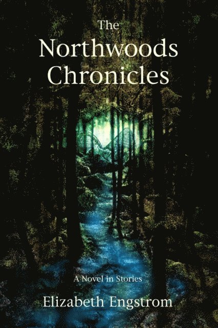 Elizabeth Engstrom - Northwoods Chronicles: A Novel in Short Stories, E-bok
