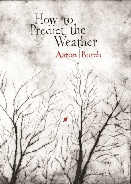 Aaron Burch - How to Predict the Weather, E-bok. Tillgänglighet: Lägg i varukorg
