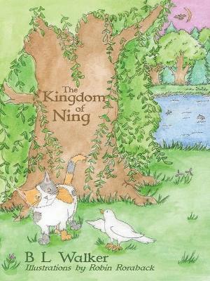 B L Walker - Kingdom of Ning, Häftad