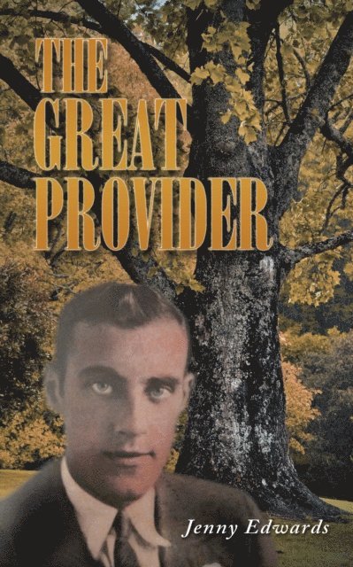 Jenny Edwards - Great Provider, E-bok