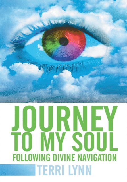 Terri Lynn - Journey to My Soul, E-bok