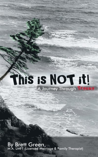 Brett Green - This Is Not It!, E-bok