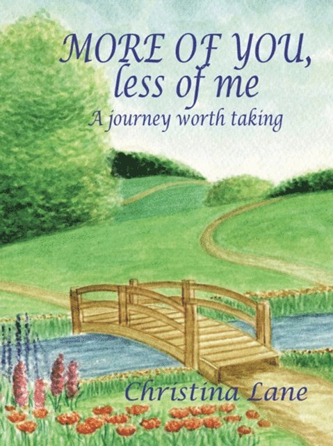 Christina Lane - More of You, Less of Me, E-bok