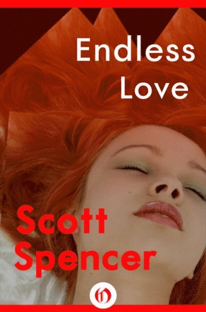 Scott Spencer - Endless Love, E-bok