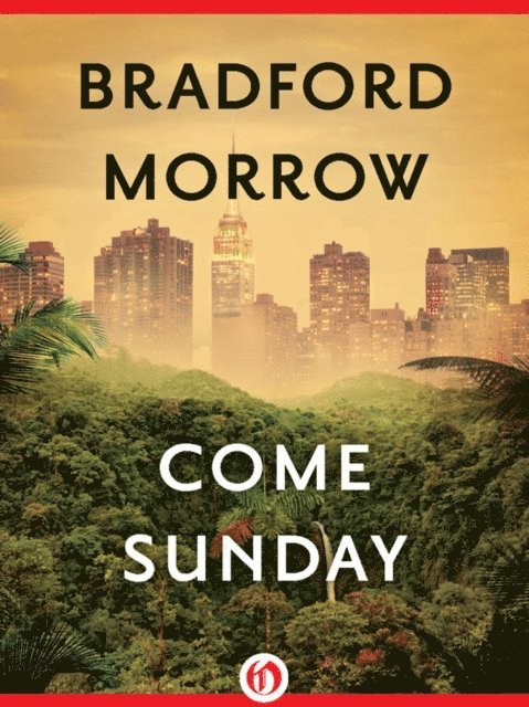 Bradford Morrow - Come Sunday, E-bok