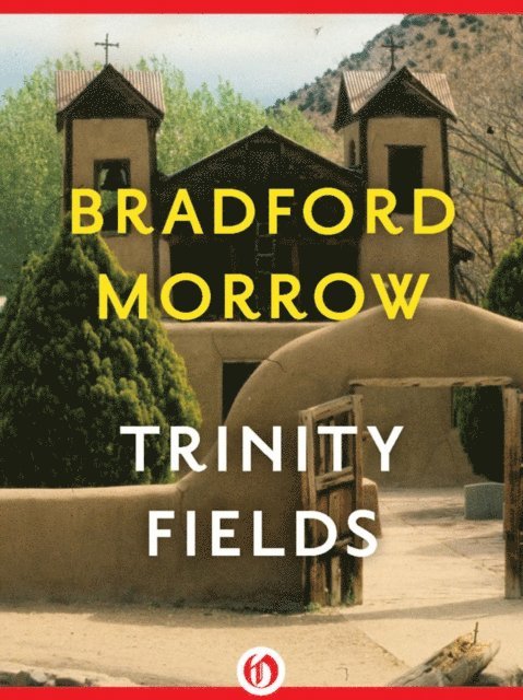 Bradford Morrow - Trinity Fields, E-bok