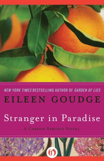Eileen Goudge - Stranger in Paradise, E-bok
