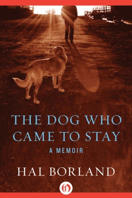 Hal Borland - Dog Who Came to Stay, E-bok