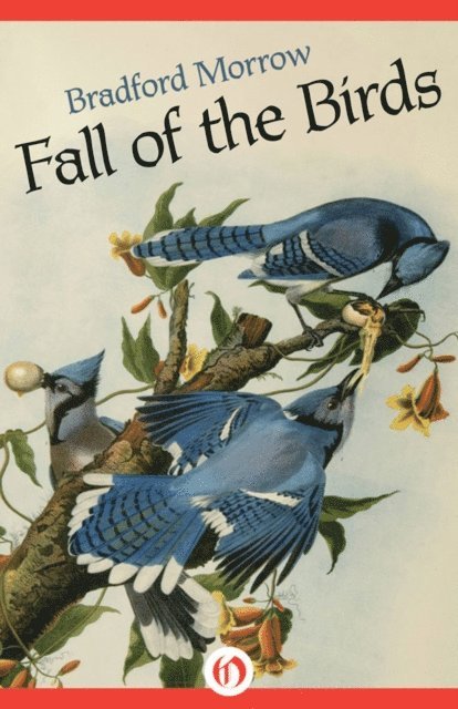 Bradford Morrow - Fall of the Birds, E-bok