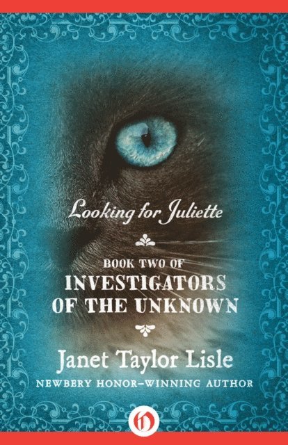 Janet Taylor Lisle - Looking for Juliette, E-bok