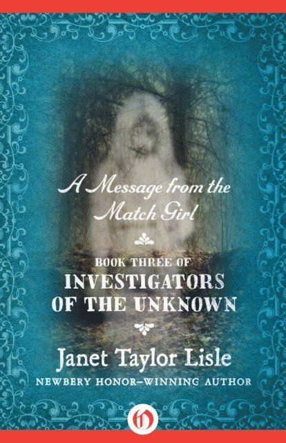 Janet Taylor Lisle - Message from the Match Girl, E-bok