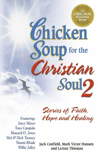 LeAnn Thieman, Mark Victor Hansen, Jack Canfield - Chicken Soup for the Christian Soul 2, E-bok