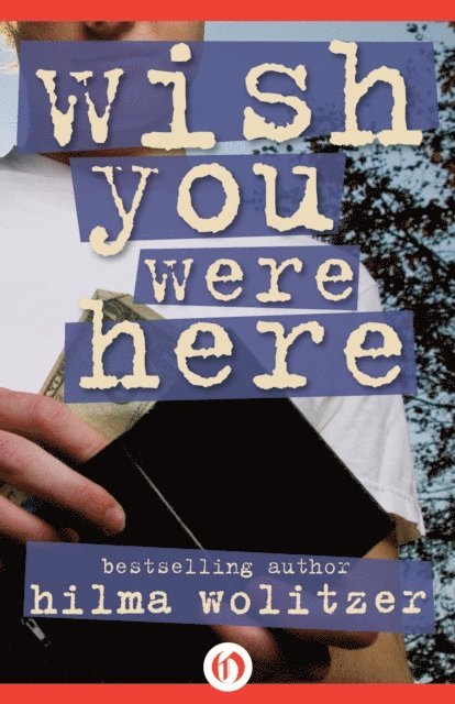 Hilma Wolitzer - Wish You Were Here, E-bok